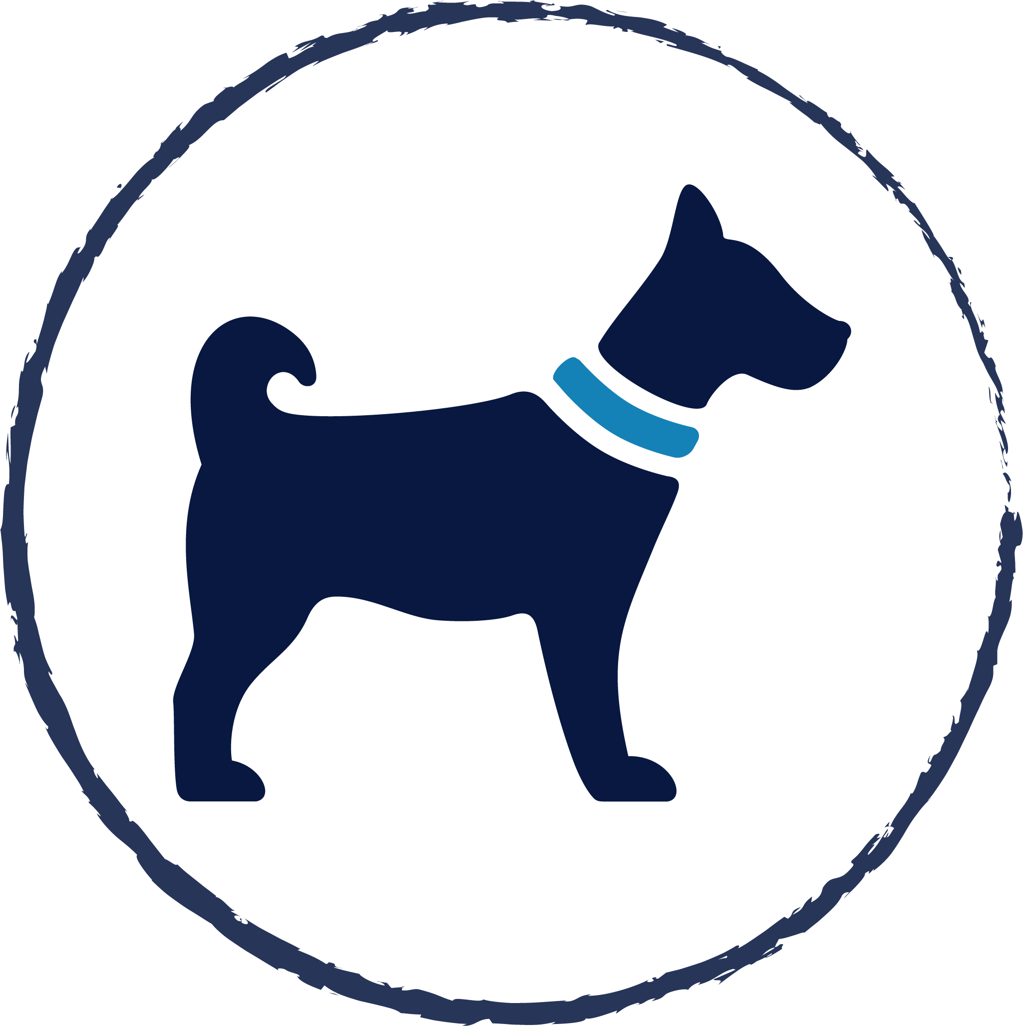 Dog Vaccine Icon