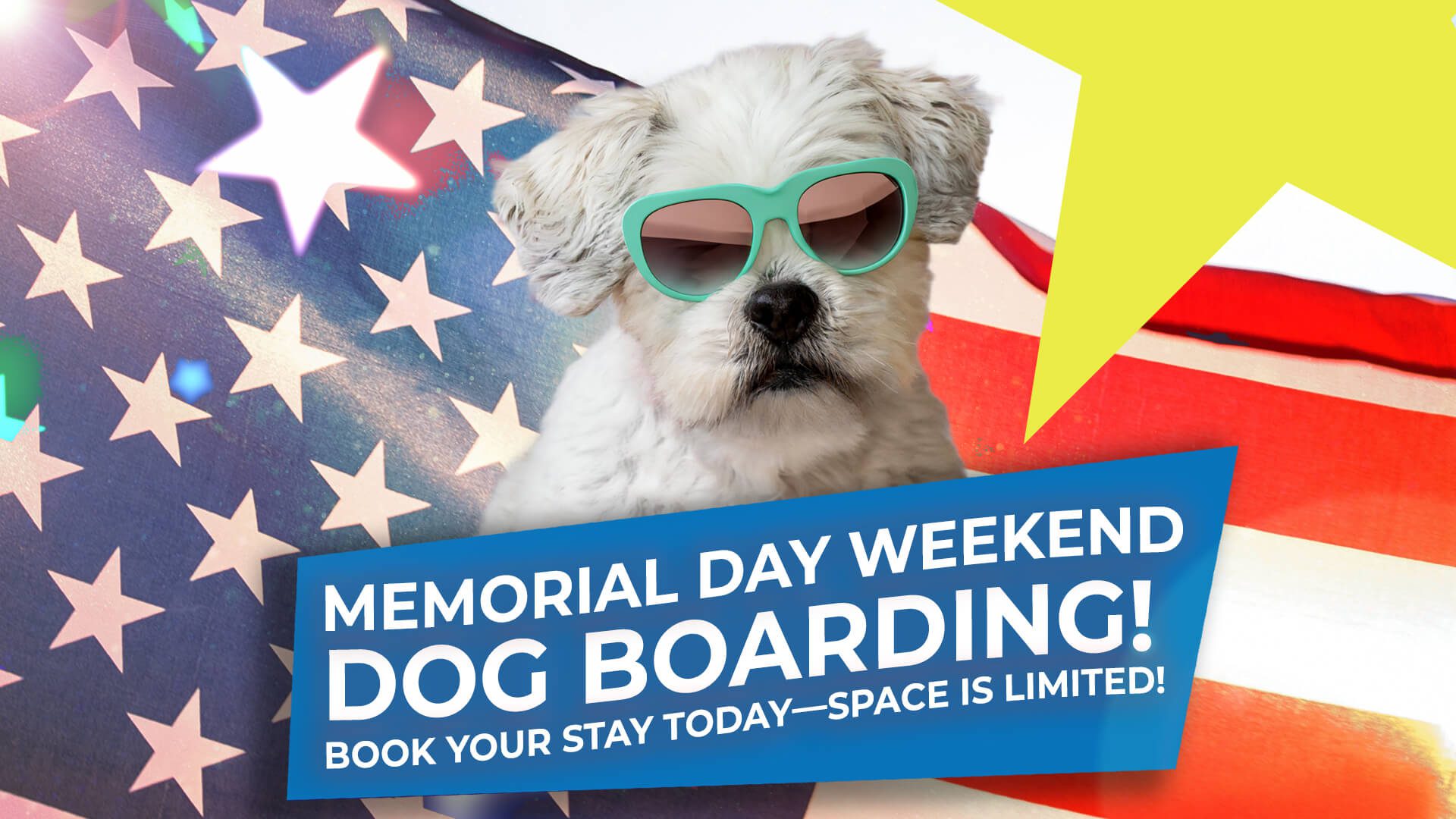 Memorial Day Weekend Dog Boarding